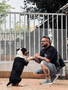 WhatsApp Image 2024-10-13 at 19.51.14 (1)