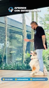 WhatsApp Image 2024-10-13 at 19.51.14 (2)