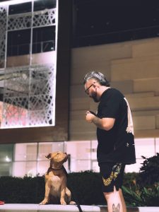 WhatsApp Image 2024-10-13 at 19.51.14