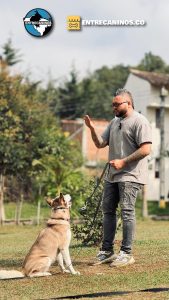 WhatsApp Image 2024-10-13 at 19.51.14 (3)