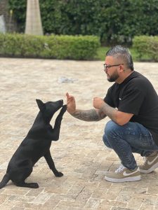 WhatsApp Image 2024-10-13 at 19.51.14 (4)