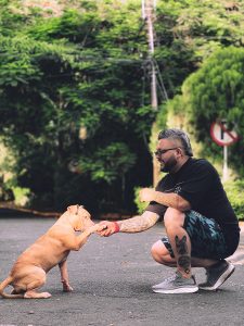 WhatsApp Image 2024-10-13 at 19.51.16 (1)