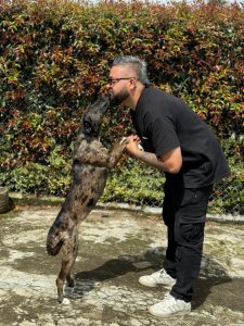 WhatsApp Image 2024-10-13 at 19.53.42