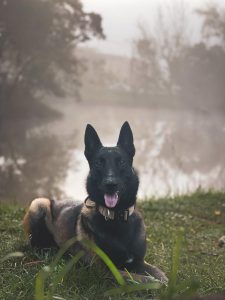 WhatsApp Image 2024-10-13 at 19.53.52