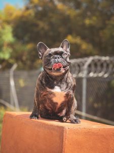 WhatsApp Image 2024-10-13 at 19.53.56