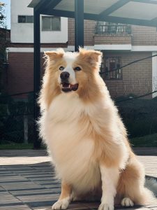 WhatsApp Image 2024-10-13 at 20.01.33