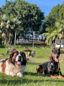 WhatsApp Image 2024-10-13 at 20.02.43