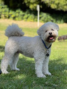 WhatsApp Image 2024-10-13 at 20.02.45 (1)