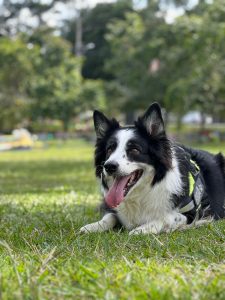 WhatsApp Image 2024-10-13 at 20.02.45 (2)