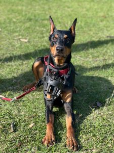 WhatsApp Image 2024-10-13 at 20.02.45