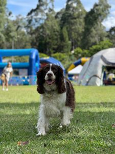 WhatsApp Image 2024-10-13 at 20.02.45 (3)