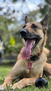 WhatsApp Image 2024-10-13 at 20.02.46 (1)