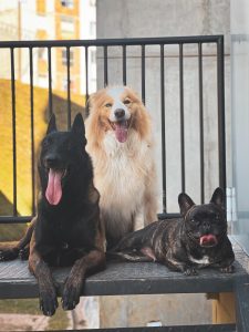 WhatsApp Image 2024-10-13 at 20.02.46 (2)