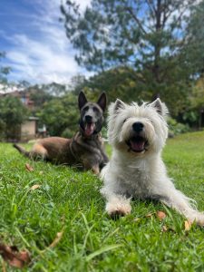 WhatsApp Image 2024-10-13 at 20.02.46 (3)